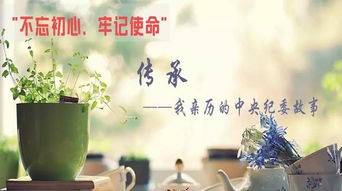 平原紀檢 執(zhí)紀問責非文藝創(chuàng)作，求真務實方顯擔當